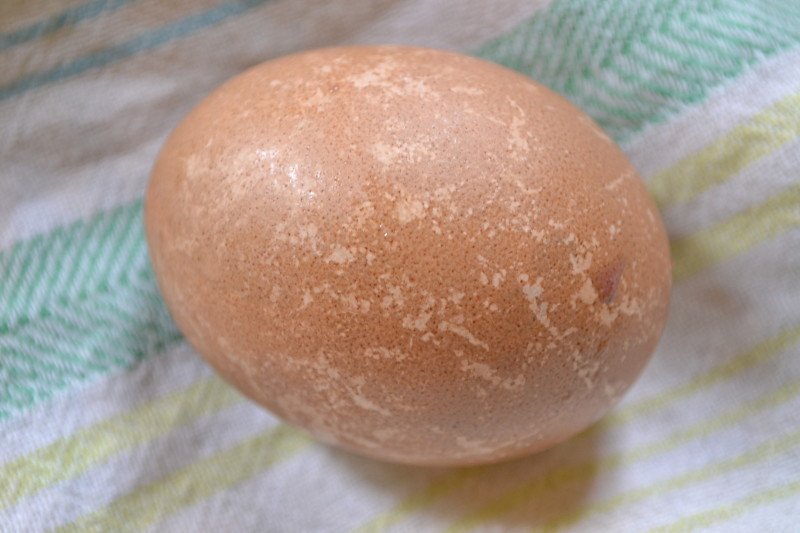 Rotkraut mit Ei gekocht