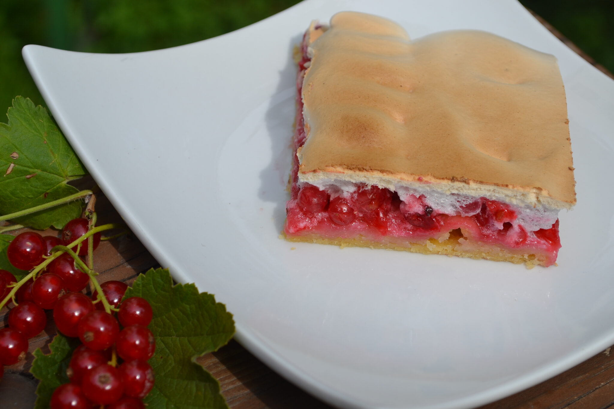 Ribiselkuchen mit Schneehaube - kochwerk